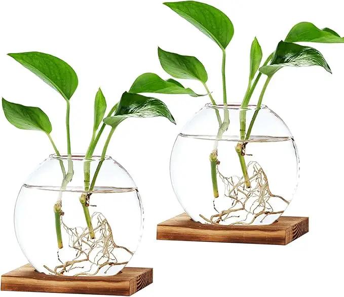 2 Pack Plant Propagation Station with Wooden Base Glass Terrariums for Indoor Plants Decorative Round Vases for Flowers Hydroponic Planter for Home Office Decor by GreenHaven Gardens