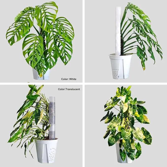 2 Pcs 17 Inch Clear Plastic Moss Pole for Plants Monstera, Designed Specifically for Climbing Plants, Stackable Plant Support for Indoor Plants Work with Sphagnum Moss by GreenHaven Gardens