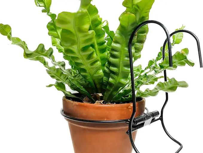 6 Pieces, 6 inches Iron Hanging Flower Pot. Metal Plant Wall Hanger, Vertical Garden. Planter Hook Ring, Rail Metal Fence. Indoor and Outdoor. Yard Garden. Wire Trellis. Collapsible Bracket. (Black) by GreenHaven Gardens