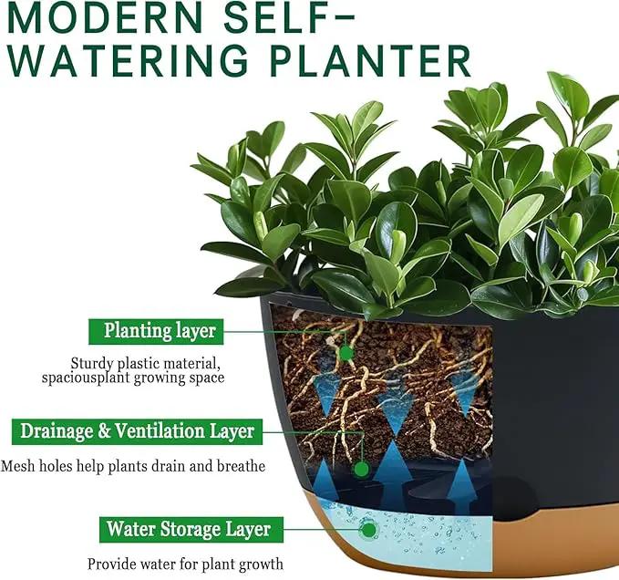8 Inch Pots for Indoor Plants, Self Watering Planters with Drainage and Saucers, Plastic Outdoor Flower Pot, Set of 2, Grey by GreenHaven Gardens