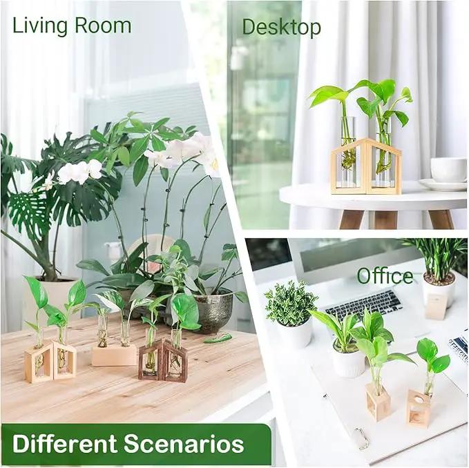 Ivolador Plant Propagation Station, Plant Propagation Tubes,Gifts for Plant Lovers,Plants Cutting Holder Office Desk Garden Décor Gifts for Mom Women Hydroponic Vase Gift Box by GreenHaven Gardens