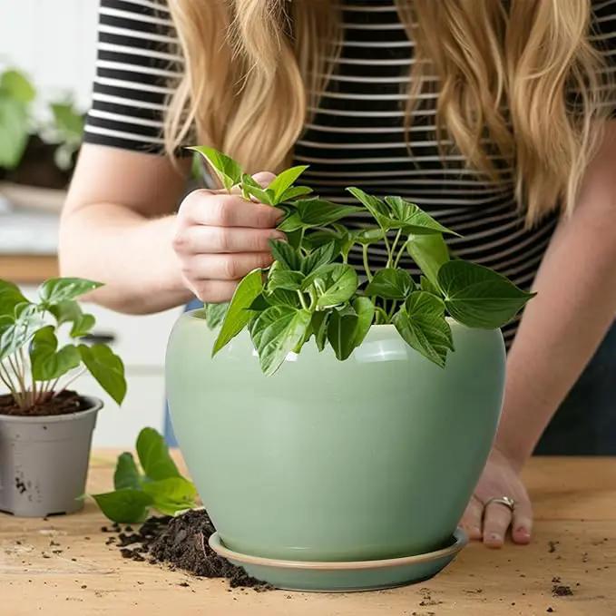 8 Inch Plant Pot - Ceramic Planter for Outdoor Plants Indoor Plant Pot with Drainage Hole and Saucer Mid-Century Round Planter Flower Pot for House Garden Green by GreenHaven Gardens