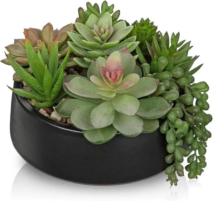 DILATATA Artificial Succulent Plants in Pot 5.5 Inch Fake Succulents Arrangement Potted Plant in Black Ceramic Planter Bowl for Home Office Desk Shelf Living Room Bedroom Bathroom Decor by GreenHaven Gardens