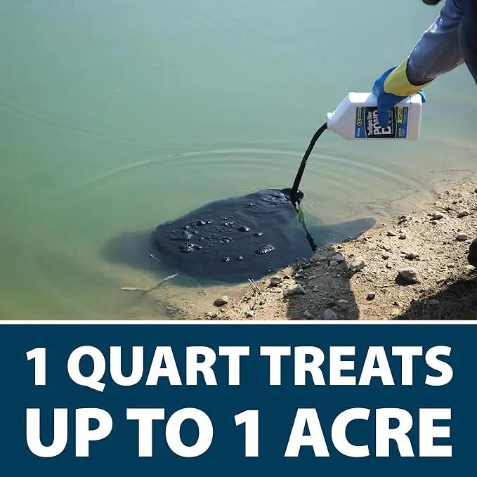 Airmax Nature's Blue Pond Dye 4X Concentrate for Outdoor Ponds & Lakes, Natural Pond Colorant & Beauty Enhancer, Block Ultraviolet Rays, Fish, Bird & Livestock Safe, Easy Liquid Application, 1 Quart by GreenHaven Gardens