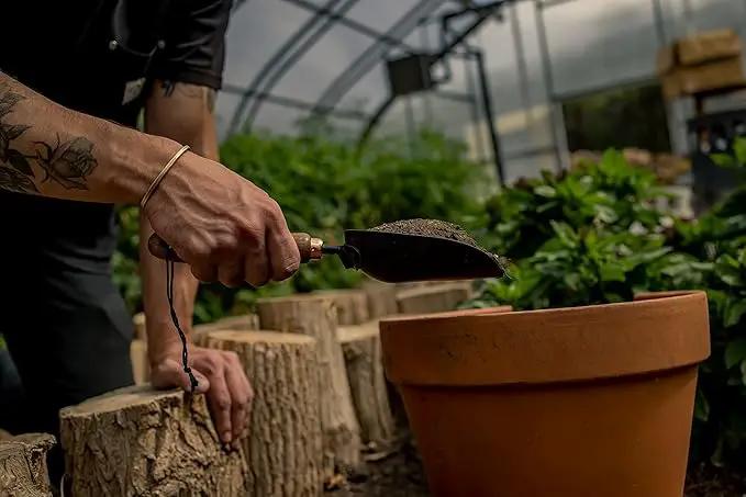 Barebones Garden Scoop - Garden Spoon - Stainless Steel Small Hand Shovel for Transplanting, Digging, and Planting - Great Home Gardening Hand Tools (Walnut/Black) by GreenHaven Gardens