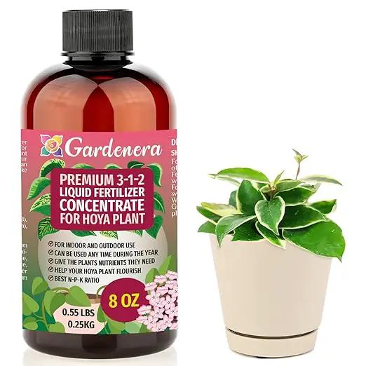 Premium Liquid Hoya Fertilizer - 3-1-2 Concentrate for Indoor Plants and Flowers - Organic Plant Food - 8oz by GreenHaven Gardens
