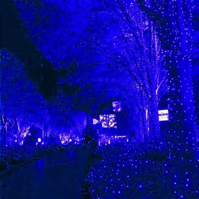 HISHINY LED Blue Christmas Net Lights Outdoor Christmas Decorations 5ftx5ft 100LED Green Wire,Connectable Outdoor Indoor Yard Mesh Shrub Net Lights String for Halloween Chritmas Party,Tree,Bush(Blue) by GreenHaven Gardens