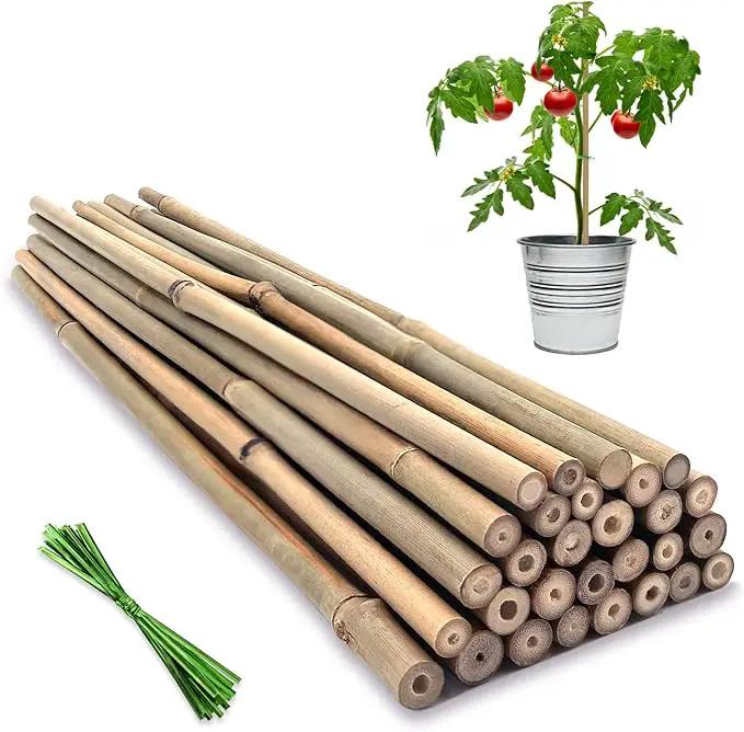Plant Stakes,16 Inches Natural Garden Bamboo Sticks,BOVITRO 20Pcs Plant Support Stakes for Tomatoes,Beans,Vegetable and Potted Plants by GreenHaven Gardens