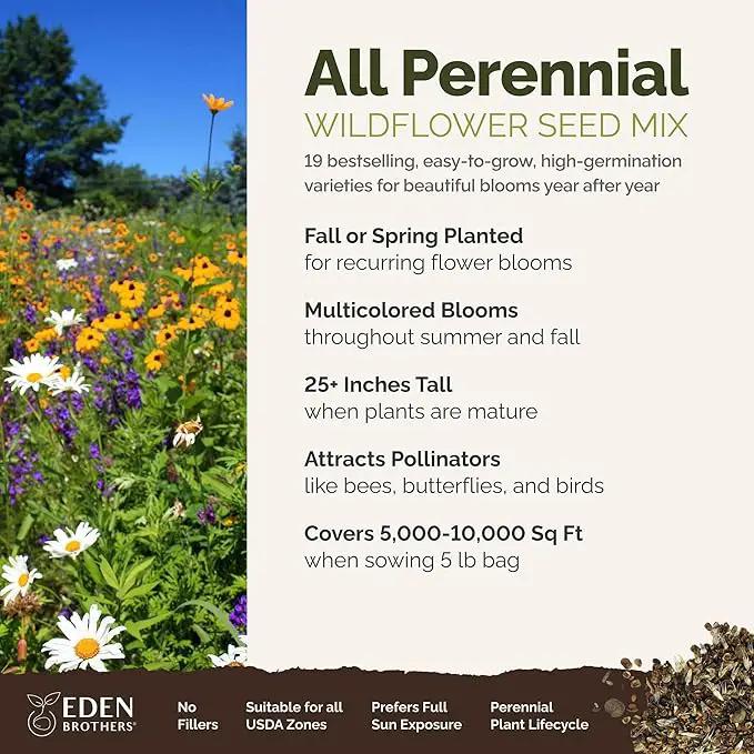Eden Brothers All Perennial Wildflower Mixed Seeds for Planting, 5 lb, 2,400,000+ Seeds with Lupine, Shasta Daisy| Attracts Pollinators, Plant in Spring or Fall, Zones 3, 4, 5, 6, 7, 8, 9, 10 by GreenHaven Gardens