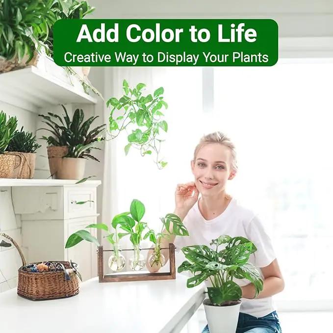 Ivolador Wall Hanging Plant Propagation Station,Bulb Plant Terrarium with Wooden Stand,Unique Gardening Gifts for Women Plant Lovers,Hydroponic Indoor Planter Home Office Decor-3 Bulb Glass Vases by GreenHaven Gardens