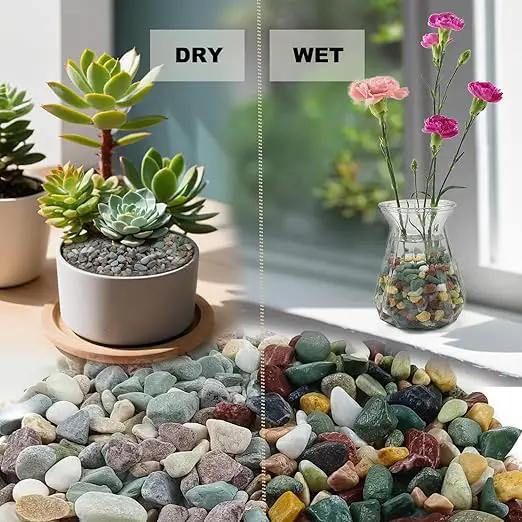 45LB Succulents Rocks for Plants Cactus Gravel Pebbles for Fish Tank 1/2 Inch Natural River Rocks for Vase, Aquarium, Landscaping,Bonsai,Terrarium Pebbles, Mixed Color by GreenHaven Gardens