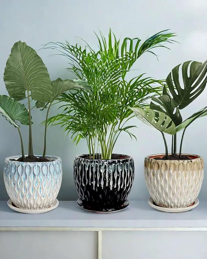 vensovo 7.5 Inch Ceramic Plant Pot with Drainage Holes and Saucer - Large Round Orchid Pot for Indoor Repotting, Ceramic Planter Maintain Air Circulation, Yellow by GreenHaven Gardens