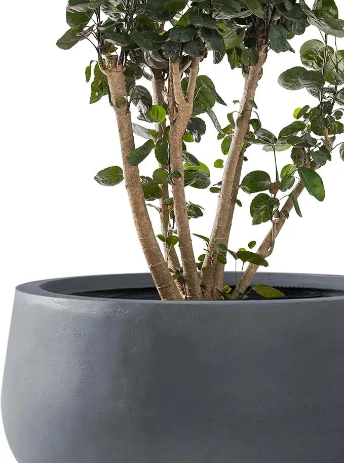 Kante 19.6",15.7",11.8" Dia Round Concrete Planters Set of 3, Outdoor Indoor Garden Plant Pots with Drainage Hole and Rubber Plug, Modern Curvaceous Design, Charcoal by GreenHaven Gardens
