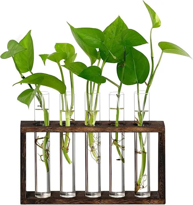 XXXFLOWER Wall Hanging Terrarium Planter with 5 Test Tubes,Wall Planters for Indoor Plants,Plant Lover Gifts for Women Garden Office Decoration by GreenHaven Gardens