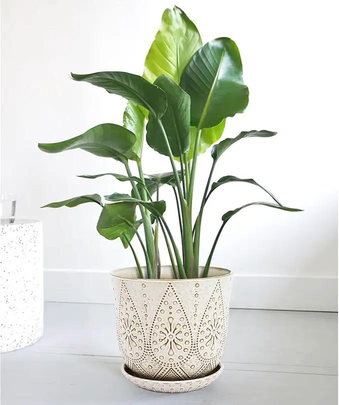 Gepege 10 Inch Plant Pot, Creamy White Ceramic Planter with Drainage Holes and Saucers for Plants Indoor and Outdoor Flower Pot by GreenHaven Gardens