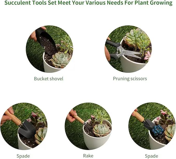 5Pcs Succulent Tools,Mini Garden Tools,Pruning Scissors as Plant Accessories, Gardending Hand Tools Kit for Seedling Soil,Caring Succulent,Houseplent,Bonsi,Gifts for Woman and Man by GreenHaven Gardens