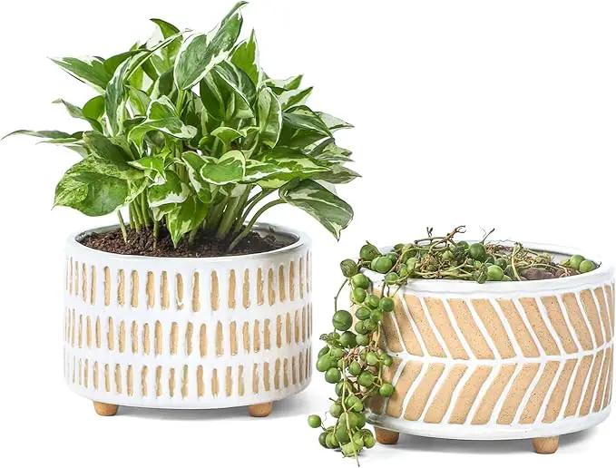 Succulent Pots, 6 Inch Pot for Indoor Plants, Footed Pots for Plants with Drainage, Succulents or Small Plant Indoor Plant Pots, Set of 2 by GreenHaven Gardens