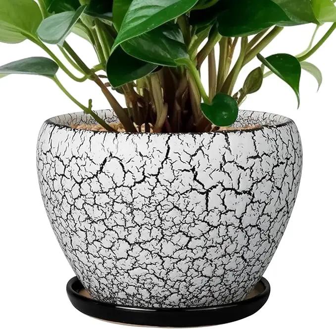 Ceramic Planter Pot - 6 Inch Plant Pot with Drainage Hole and Saucer, Succulent Pot Glaze Round for Indoor Outdoor Plants, White and Black by GreenHaven Gardens