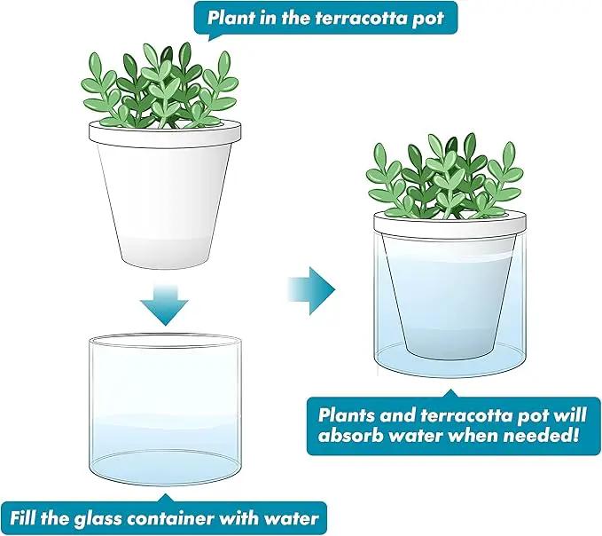 D'vine Dev 4 Inch Design Self Watering Planter for Indoor Plants, White Terracotta Pots with Cylinder Glass Cup, Set of 3, 37-Z-A-2-T by GreenHaven Gardens