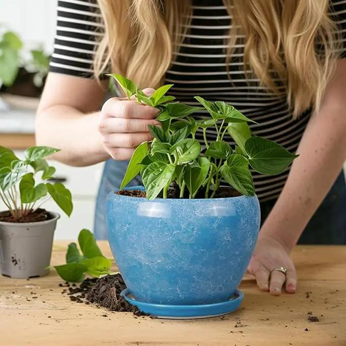 6 Inch Plant Pot - Ceramic Planter Pot with Drainage Hole and Saucer, Glaze Succulent Pot Modern Round Flower Pot for Indoor Plants, Blue by GreenHaven Gardens