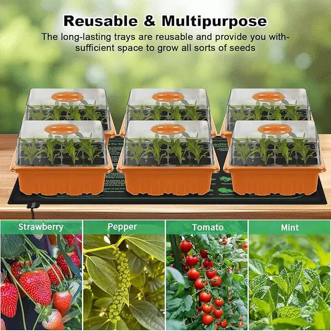 Seed Starter Tray with LED Light, 6 Pack 72 Cells Plant Grow Kit with Adjustable Humidity Vent for Mini Greenhouse Garden Germination,Bonsai Seedlings Starting Growing by GreenHaven Gardens