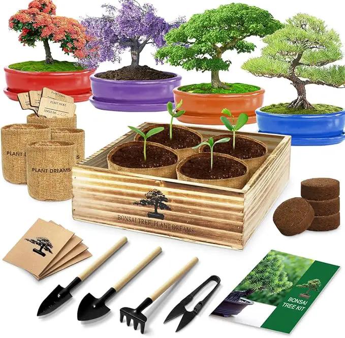 Bonsai Tree Kit, Bonsai Starter Kit with 4 Bonsai Tree Seeds, Tools & Planters, Bonsai Tree Live Plants Indoor, Gardening Gifts for Women Men Mom Father Plant Lover, Unique Christmas Gifts by GreenHaven Gardens