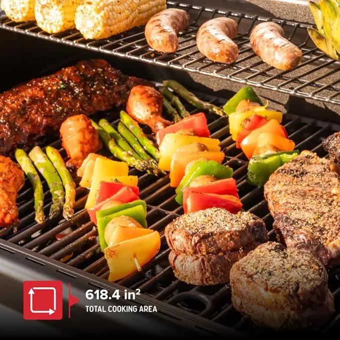 Nexgrill 5-Burner Gas Grill with Side Burner, 67,000 BTUs, 618 SQ. In. Cooking Area, Propane BBQ Grill with Stainless Steel Panel for Outdoor Cooking, Patios, and More - 720-1142 by GreenHaven Gardens
