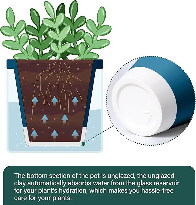 D'vine Dev 4 Inch Design Self Watering Planter for Indoor Plants, Blue Terracotta Pot with Cylinder Glass Cup, Set of 2, 37-Y-A-4 by GreenHaven Gardens