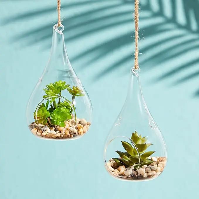 Juvale 5-Pack Hanging Glass Terrarium Containers - Air Plant Holder, Succulent Planter, Tea Light Candle Hangers (3.5x5 in) by GreenHaven Gardens