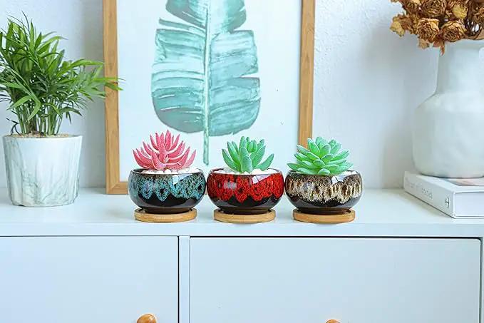 Cute Ceramic Succulent Garden Pots, Planter with Drainage and Attached Saucer, Set of 5 -Plants Not Included (Round) by GreenHaven Gardens