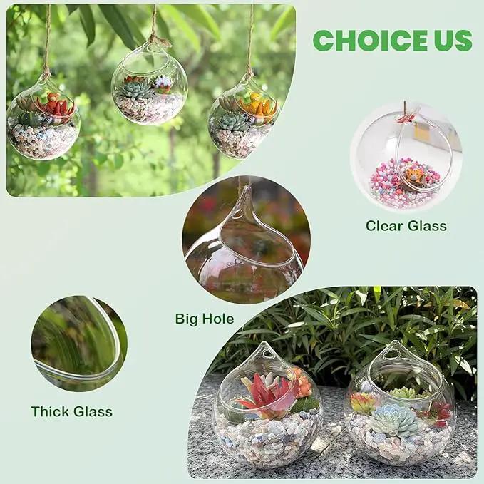 Ivolador Hanging Planter Glass Terrarium Container Air Plant Holder Succulents Globe Shape Home Garden Decor-4.7 Inches-3PCS by GreenHaven Gardens
