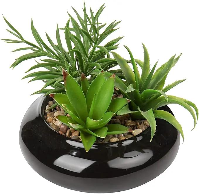 Hollyone Large Artificial Succulents Plants Faux Succulents in Pots Fake Succulent Potted Plants with Black Ceramic Pot for Home Decor Office Desk Bathroom Living Room Indoor & Outdoor Decorations by GreenHaven Gardens