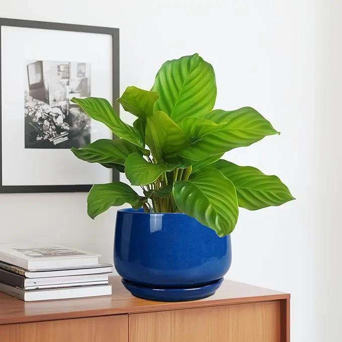G EPGardening Round Ceramic Plant Pots - 7 Inch Modern Planter with Drainage and Plant Saucer for Indoor Outdoor Flower, Round Office Decor, New Gifts for Home, Blue by GreenHaven Gardens