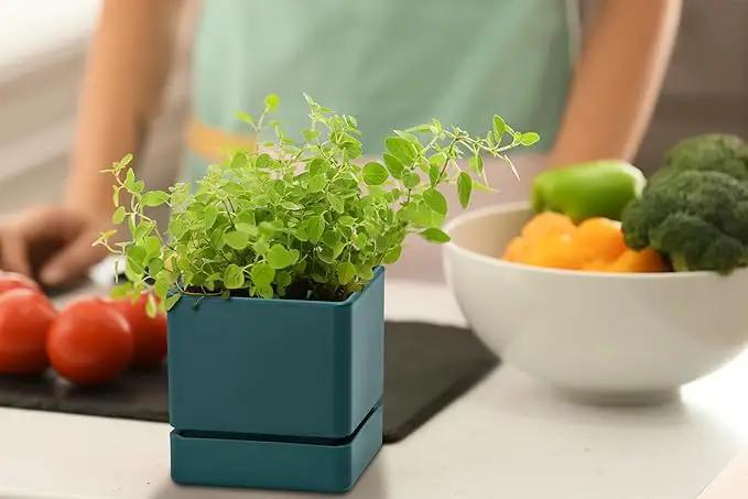 4 Inch Herb Planter Pot, Plastic Planter with Drainage Holes and Saucer, Modern Decorative Gardening Pot for Indoor Plants, Flowers, Herbs, Succulents, Green, Set of 4, 76-Y-C-4 by GreenHaven Gardens