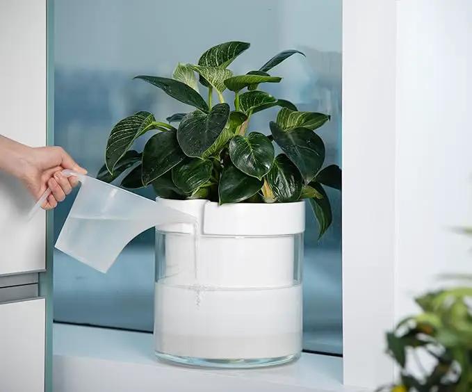 Phoenix Vine 10 Inch Self Watering Planter, White Terracotta Clay Pot with Glass Reservoir for Indoor Plants, Herbs, Flowers, Set of 1, 52-B-I-1 by GreenHaven Gardens