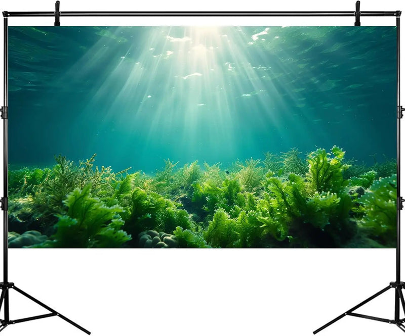 Deep Ocean Fish Tank Background Under The Sea Aquatic Plants Aquarium Background Underwater Corals Sunray Terrarium Backgrounds Tropical Fish Ocean World Aquarium Backgrounds Decorations 72x16in by GreenHaven Gardens