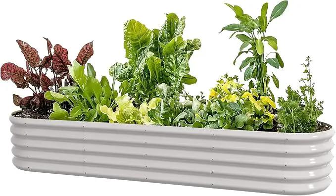 8x2ft Oval Galvanized Raised Garden Bed Kits 16" Tall Outdoor Large Metal Modular Planter Box 9-in-1 Raised Beds for Gardening,Vegetables,Fruits,Flowers & Herbs (White) by GreenHaven Gardens