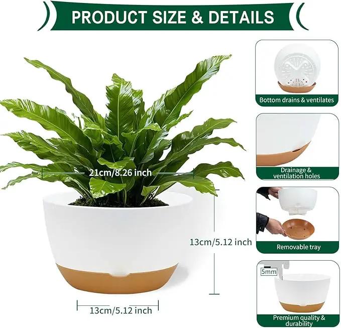 8 Inch Pots for Indoor Plants, Self Watering Planters with Drainage and Saucers, Plastic Outdoor Flower Pot, Set of 2, White by GreenHaven Gardens