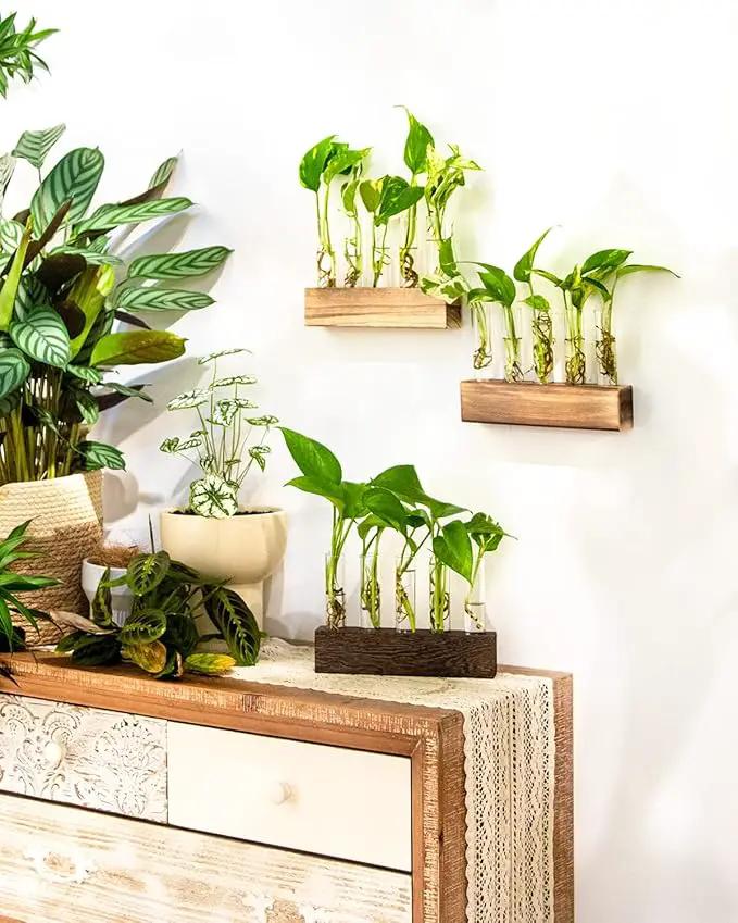 KAXYEW Desktop Glass Plant Propagation Station Test Tube Plant Terrarium in Wooden Stand for Hydroponic Plants Cutting Office Home Decoration Gift for Women (5 Test Tubes-BR) by GreenHaven Gardens