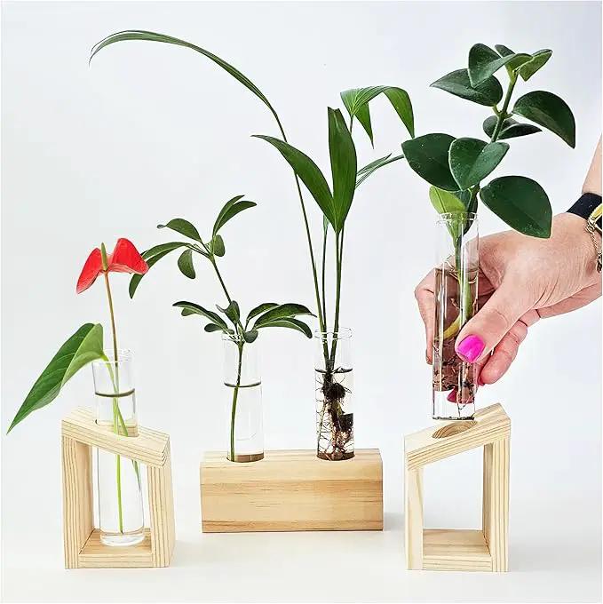 Plant Propagation Station - 3-Piece Wooden Stand with 4 Glass Test Tubes, Terrarium Vases for Plants, Hydroponic Propagation Planter for Home office Decor, Plant Lover Gift. by GreenHaven Gardens