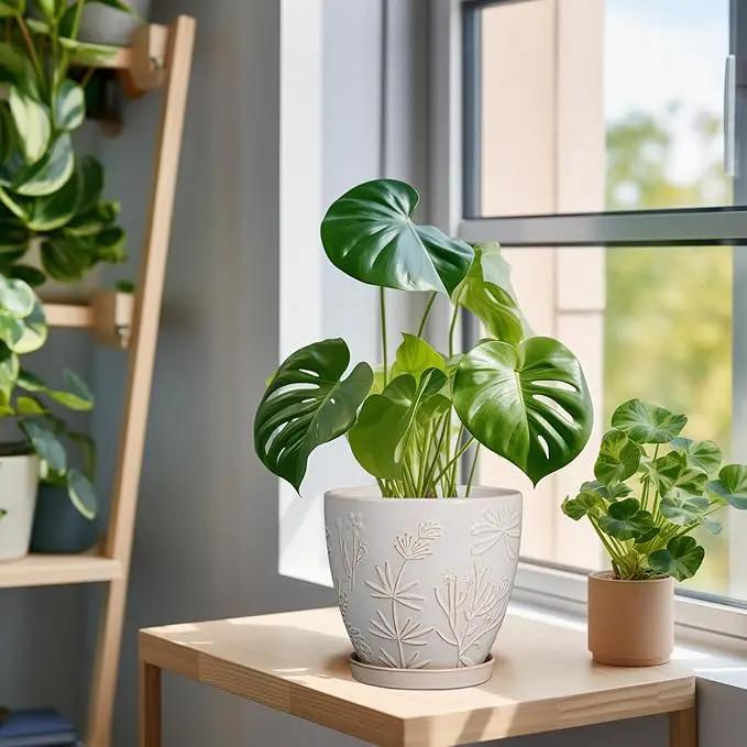 6 Inch Ceramic Plant Pot for Indoor Plants Outdoor Round Planter Flower Pot with Drainage Hole and Saucer for Home Garden Office Decor White by GreenHaven Gardens