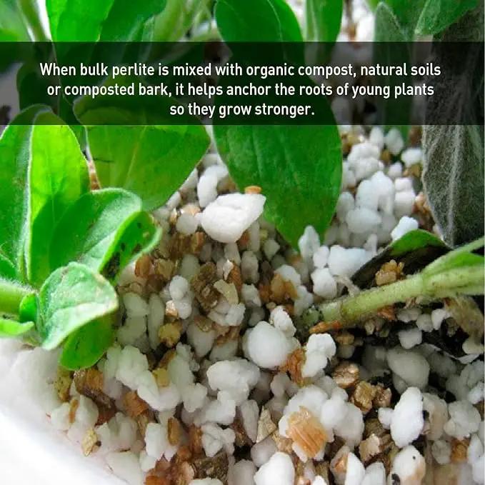 Norcal Perlite Horticultural Perlite Organic Certified Premium Screened Coarse – Garden Indoor Outdoor Plants – Soil Additive Better Aeration and Drainage - 2 Cubic Feet (62 Quarts) 1 Bag by GreenHaven Gardens