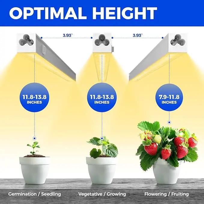 Barrina Grow Lights for Indoor Plants, Full Spectrum Sunlight, 1ft Plant Growing Lamp, LED Grow Light Bulbs, T5 Grow Light Strip, Plug and Play, Yellow, 4-Pack by GreenHaven Gardens