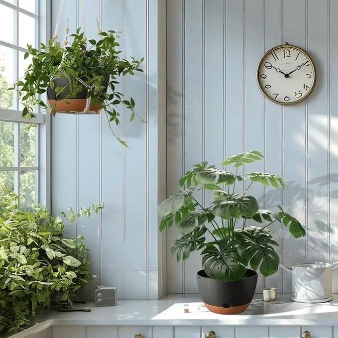 10 Inch Hanging Planters for Indoor Plants,Set of 2 Hanging Pots for Plants with Self-Watering, Outdoor Hanging Plant Pot with Drainage and 2 Kinds of Hanging Baskets Hangers for Home Decor and Garden by GreenHaven Gardens