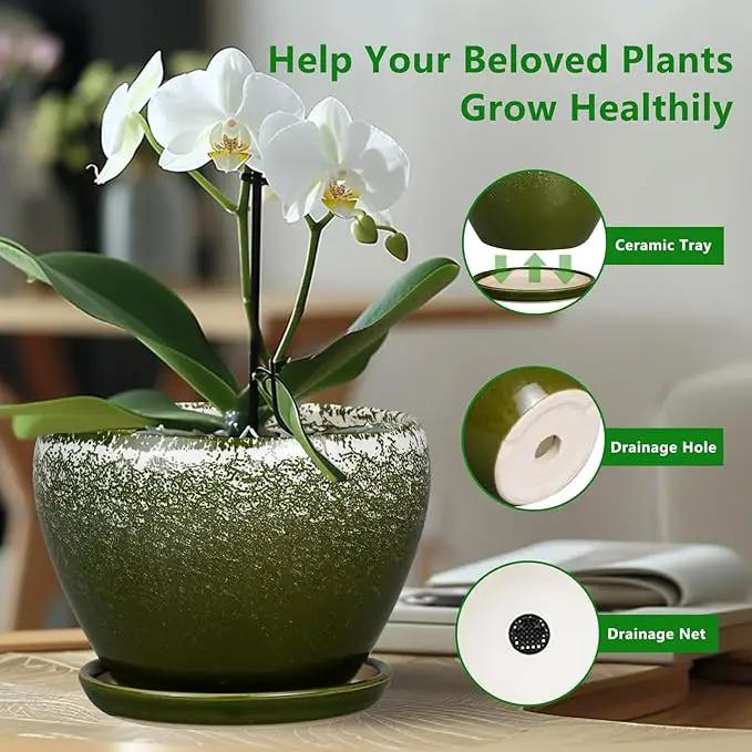 6 Inch Plant Pot - Ceramic Planter Pot with Drainage Hole and Saucer, Glaze Succulent Pot Modern Round Flower Pot for Indoor Plants, Dark Green by GreenHaven Gardens