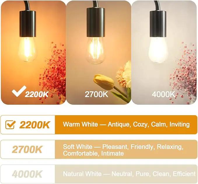 BRIMAX 25 Pack 2W S14 Replacement LED Light Bulbs for Outdoor String Lights, 2200K Warm White, Shatterproof & Waterproof,E26 Medium Base Vintage Edison Light Bulbs by GreenHaven Gardens