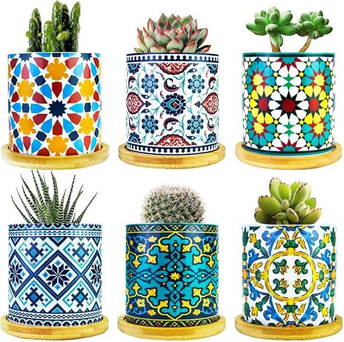 6 Pack Mandala Succulent Plant Pot with Bamboo Trays, Ceramic Multicolored Succulent Container Planter Pot for Small Plant by GreenHaven Gardens