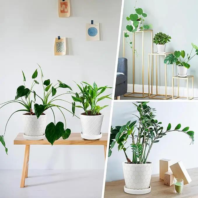 Ceramic Plant Pots,4+5+6 Inch Pots for Indoor Plants,Planters with Drainage Holes and Ceramic Tray, Indoor Flower Pots Gardening Home Desktop Office Windowsill Decoration Gift,Set of 3 (White) by GreenHaven Gardens