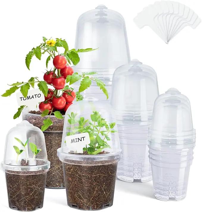 homenote Clear Nursery Pots for Plants,3/4/5 Inch Plant Pot for Planting with Humidity Domes Plastic Seedling with Drainage Holes Seed Starter Flower High Transparency (15 Pack) by GreenHaven Gardens