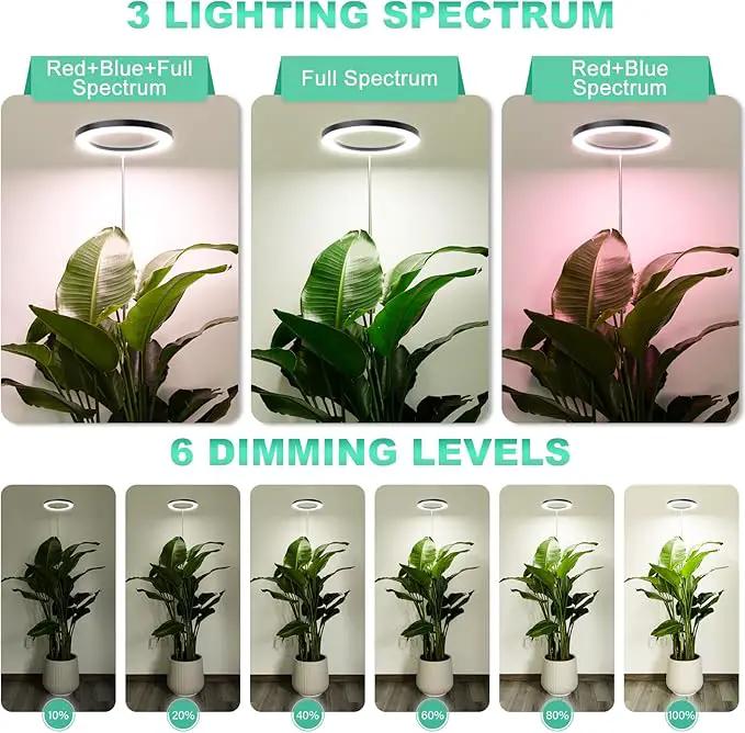 LORDEM 10" Full Spectrum Grow Light, 160 LEDs Plant Lamp for Indoor Plants, Grow Lamp with 4/8/12H Auto Timer, 10 Dimmable Levels, 3 Spectrum Modes, 61" Height Adjustable, Ideal for Large Tall Plants by GreenHaven Gardens